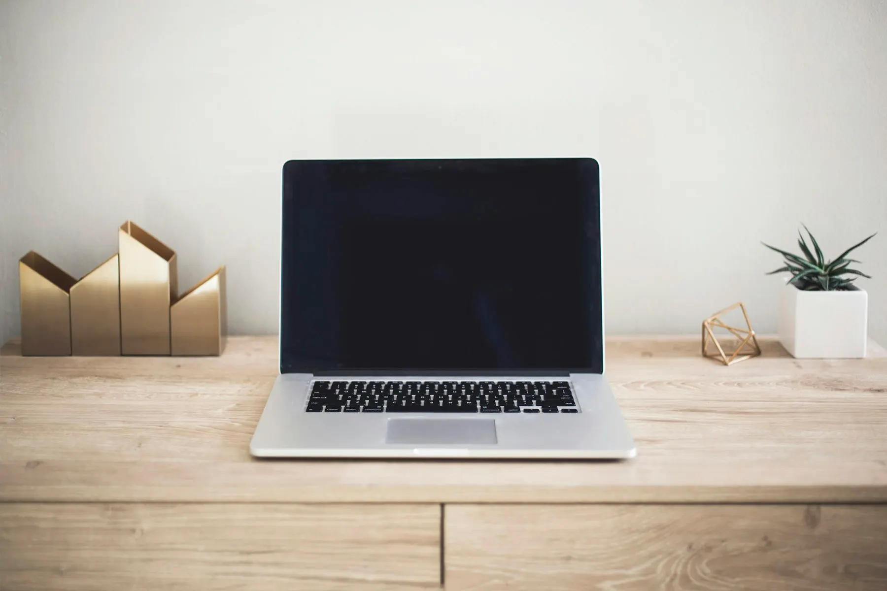 Laptop on a light wooden desk next to a small plant
